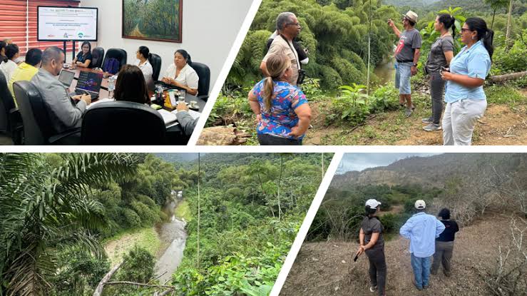 Restauración Forestal en Puerto López (174 ha)